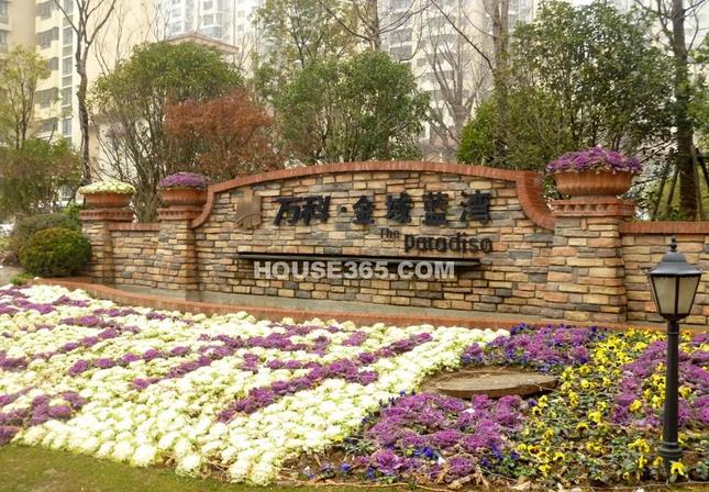 桂城萬(wàn)科金域藍(lán)灣白蟻防治工程