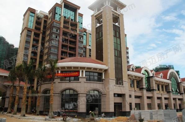 南海黃岐新荔灣白蟻防治工程