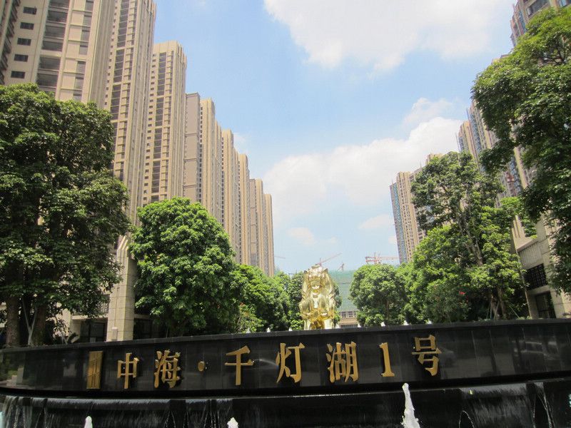 桂城 中海千燈湖一號花園 白蟻防治 工程