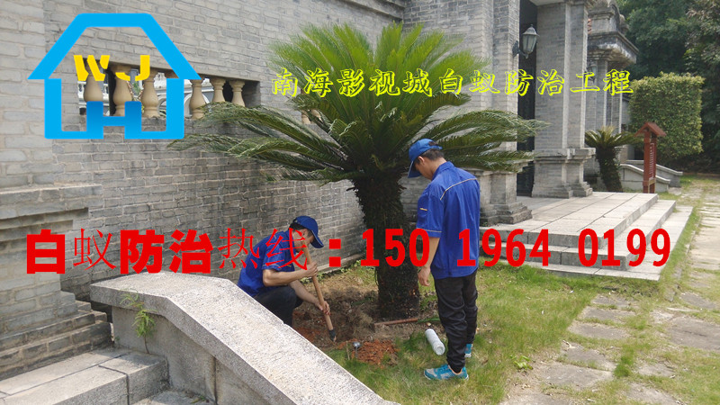 南海白蟻防治，松崗白蟻防治