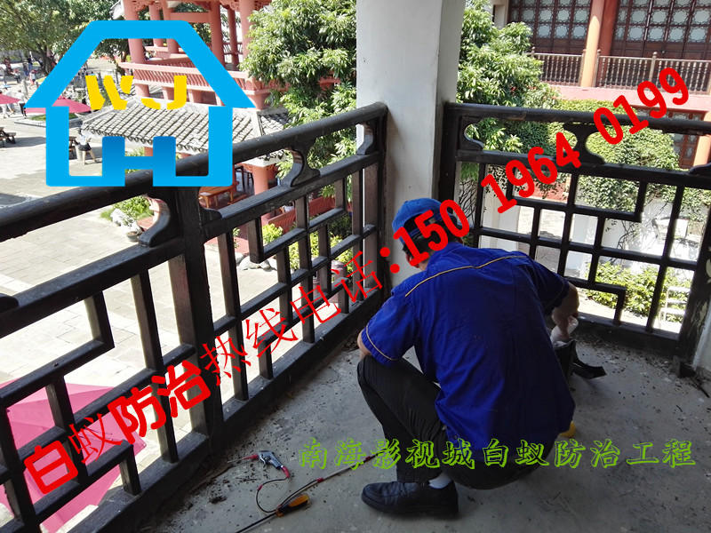 南海白蟻防治，松崗白蟻防治