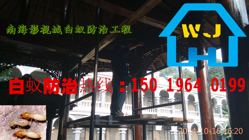 南海白蟻防治，松崗白蟻防治