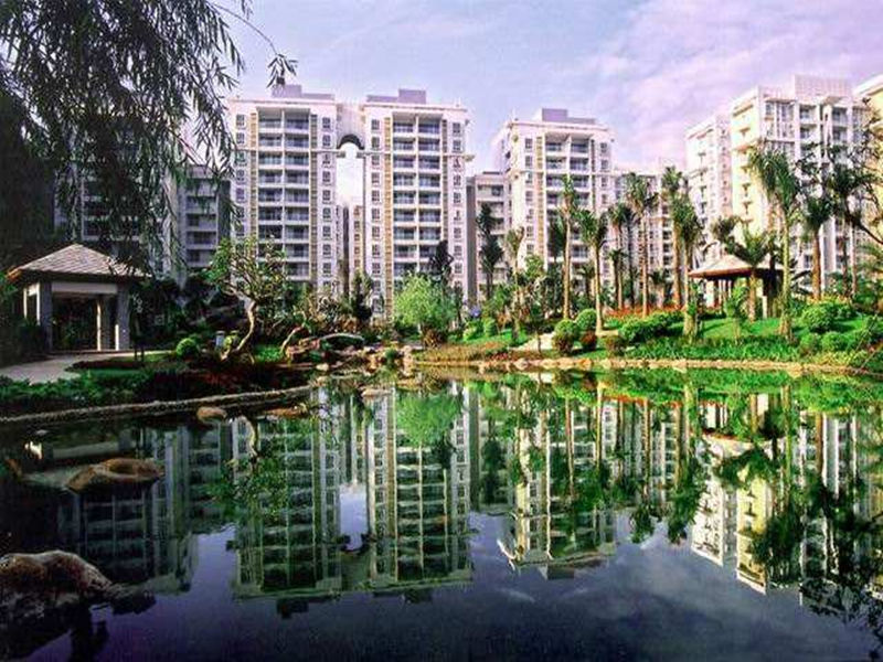 南海桂城鹿璟村殺白蟻工程