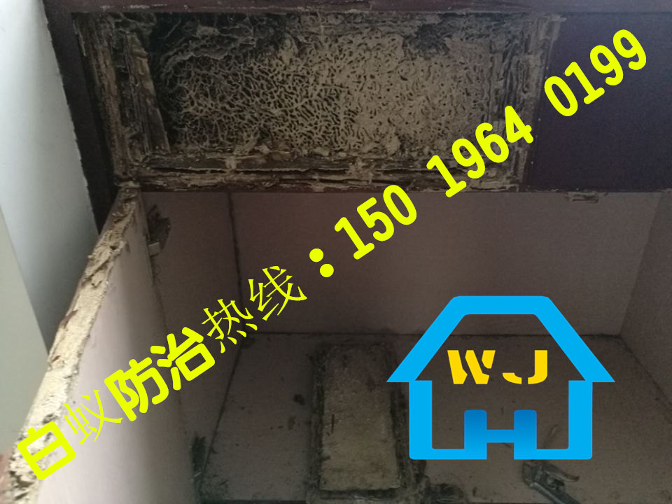 黃岐滅白蟻，黃岐除白蟻，黃岐治白蟻