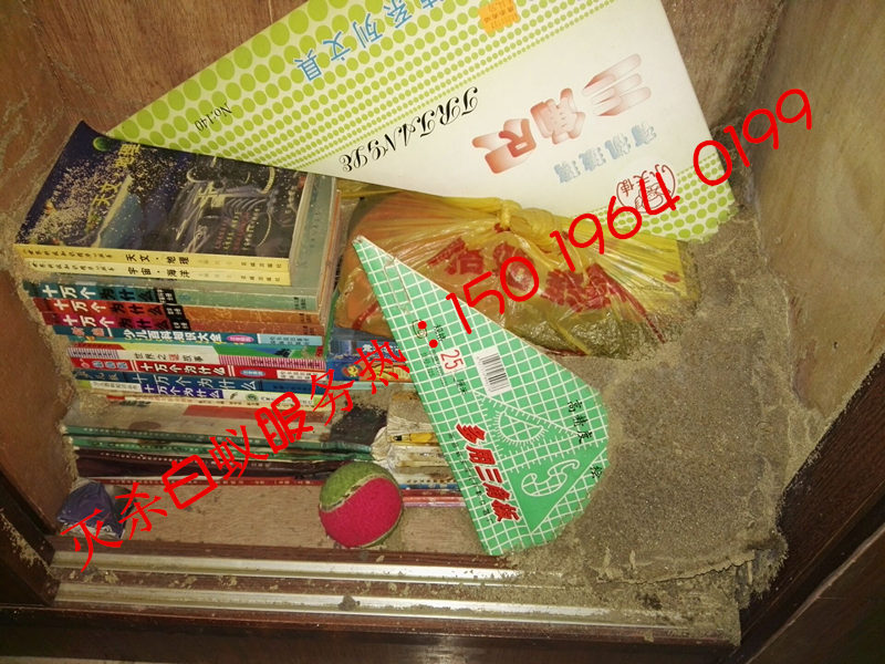 南海滅白蟻，南海治白蟻，南海除白蟻?