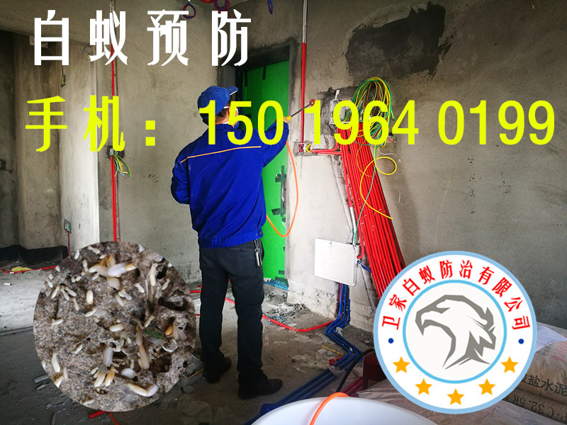 和順白蟻防治，和順白蟻公司