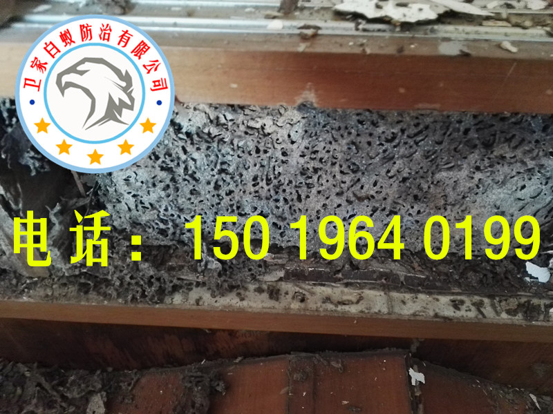 禪城白蟻防治所，禪城白蟻防治中心