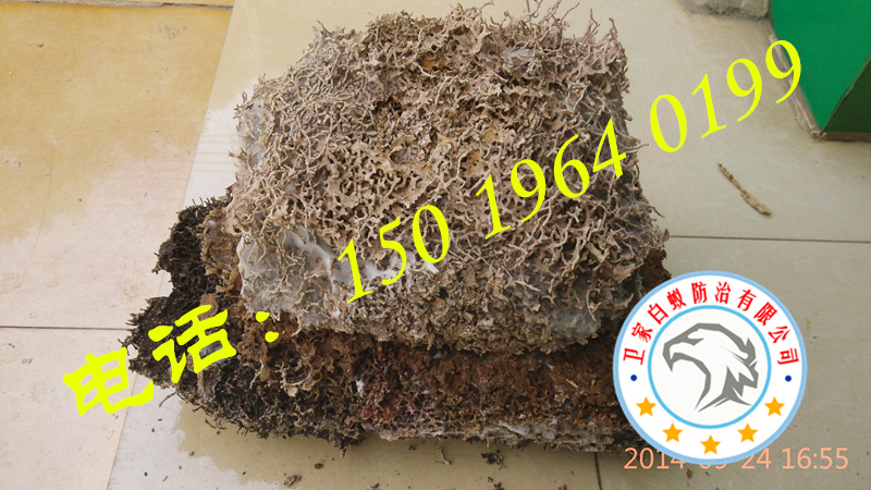 禪城白蟻防治所，禪城白蟻防治中心